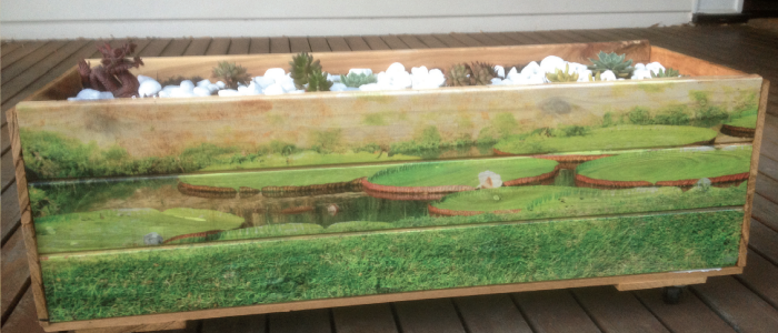 Planter Boxes Melbourne